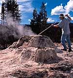 Yellowstone